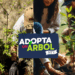 Se parte de adopta un árbol Monterrey.