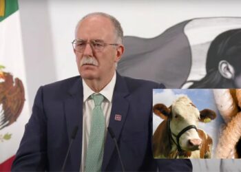 En 15 días revisará EU si reanuda importación de ganado tras suspensión temporal por gusano barrenador 