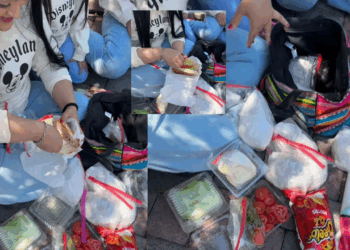 Familia mexicana se hace viral al hacer tortas en Disneyland.