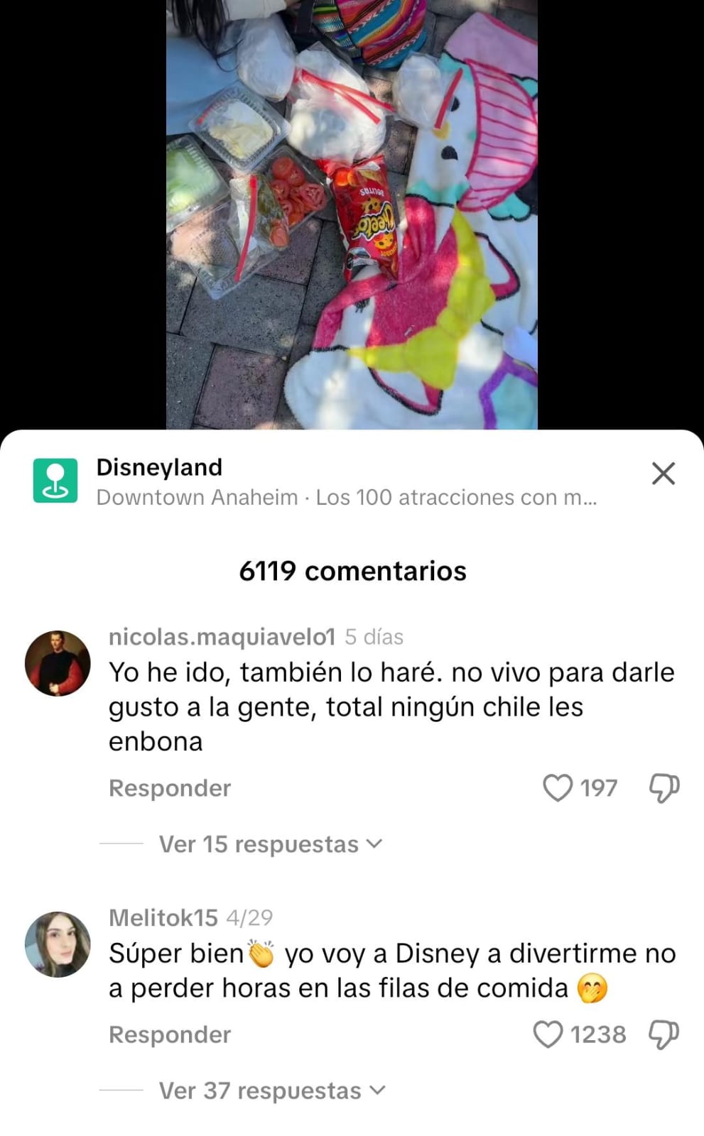 Internautas a favor de llevar comida a Disneyland,