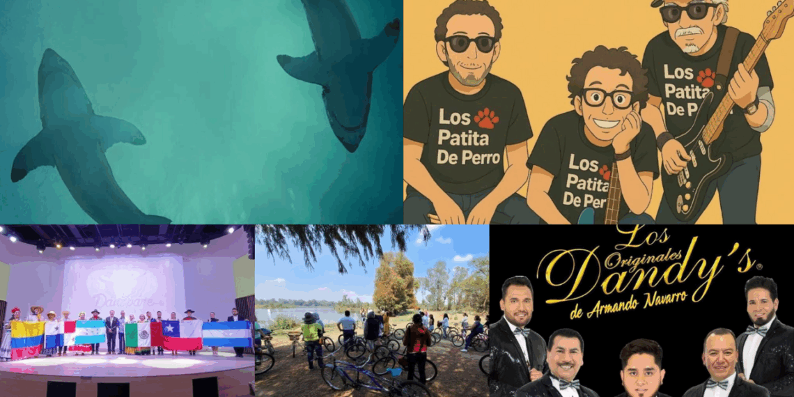 Conoce las actividades culturales programadas del 11 al 15 de junio en Ciudad de México.