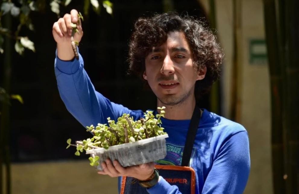 Asiste al Festival de Arte y Ecología.