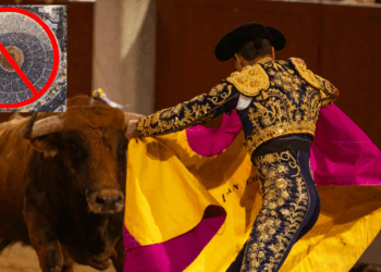 Declaran “inviable” realizar corridas en Plaza de Toros México