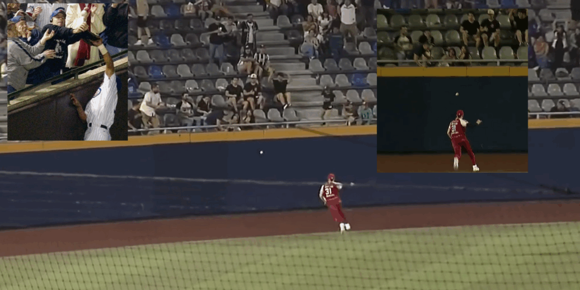 Aficionado arruina homerun de Sultanes