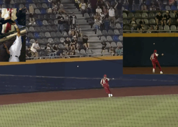 Aficionado arruina homerun de Sultanes