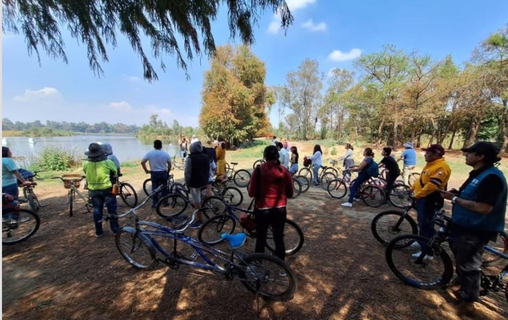 Asiste a la visita guiada por el Día del Padre como parte de la agenda de actividades del 11 al 15 de junio en CDMX.