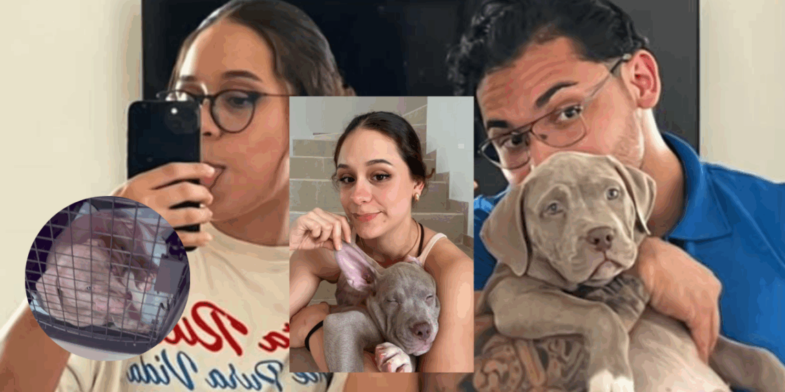 Viva Aerobus entrega un perro diferente a pasajera, causa preocupación por paradero de su mascota.