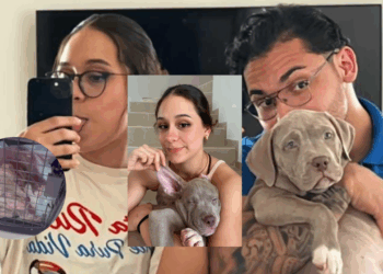 Viva Aerobus entrega un perro diferente a pasajera, causa preocupación por paradero de su mascota.