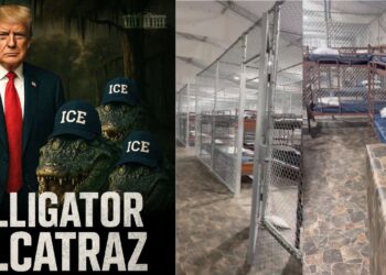 Así es Alligator Alcatraz, el nuevo centro migratorio de Trump en Florida rodeado de cocodrilos