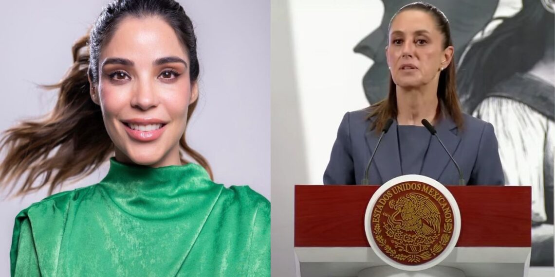 “Es un exceso”: Sheinbaum reacciona a sanción contra ciudadana por caso de ‘Dato Protegido’