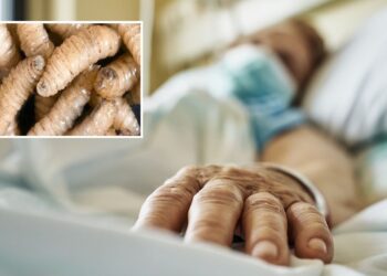 Fallece mujer infectada por Gusano Barrenador en Campeche