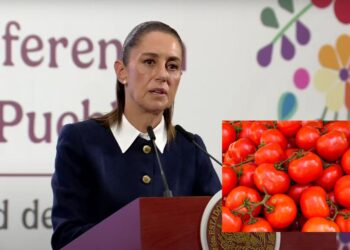 México seguirá exportando jitomate "porque no tiene sustituto": Sheinbaum