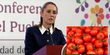 México seguirá exportando jitomate "porque no tiene sustituto": Sheinbaum