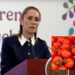 México seguirá exportando jitomate "porque no tiene sustituto": Sheinbaum