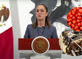 Sheinbaum alista medidas para productores afectados por restricciones de EU;