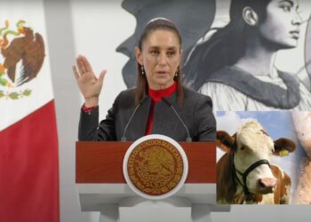 Sheinbaum ve exagerado nuevo cierre fronterizo de EU