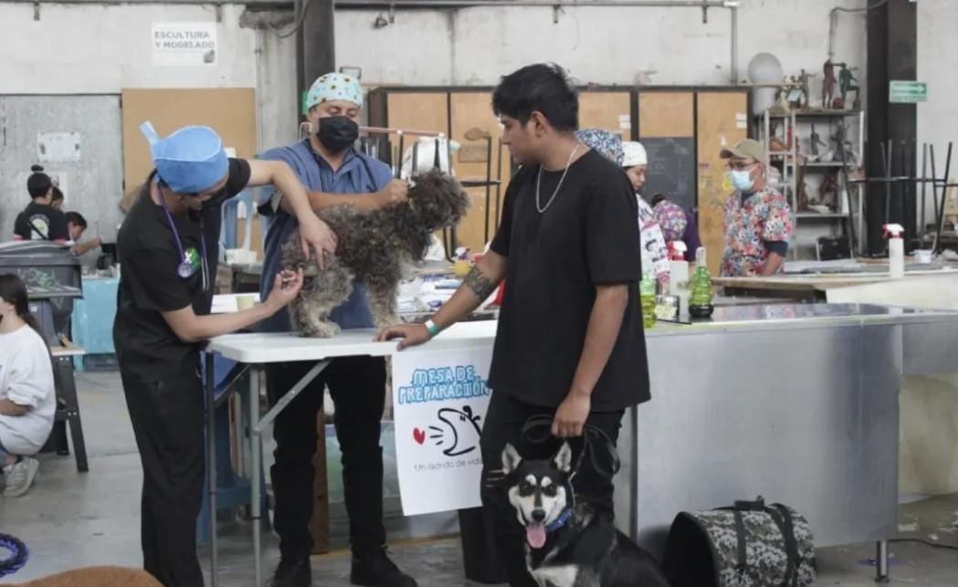 Conoce a dónde ir este fin de semana en la Ciudad de México.