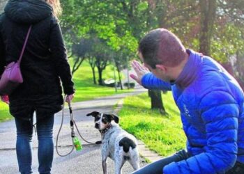 ¿Con quién se queda el perro? CDMX aprueba custodia compartida de animales en divorcios