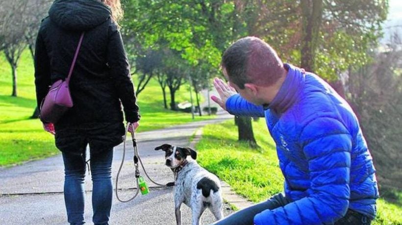 ¿Con quién se queda el perro? CDMX aprueba custodia compartida de animales en divorcios