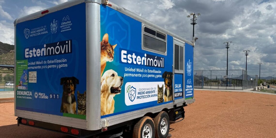 ¿Quieres esterilizar gratis a tu mascota? Agenda cita en el Esterimóvil del Municipio de Chihuahua