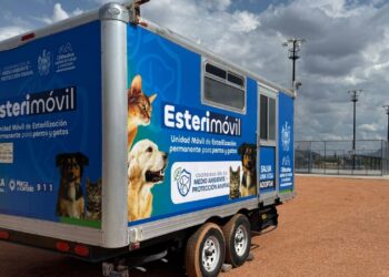 ¿Quieres esterilizar gratis a tu mascota? Agenda cita en el Esterimóvil del Municipio de Chihuahua
