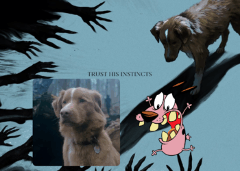 ¿Coraje el perro cobarde? Comparan a Good Boy con la famosa caricatura