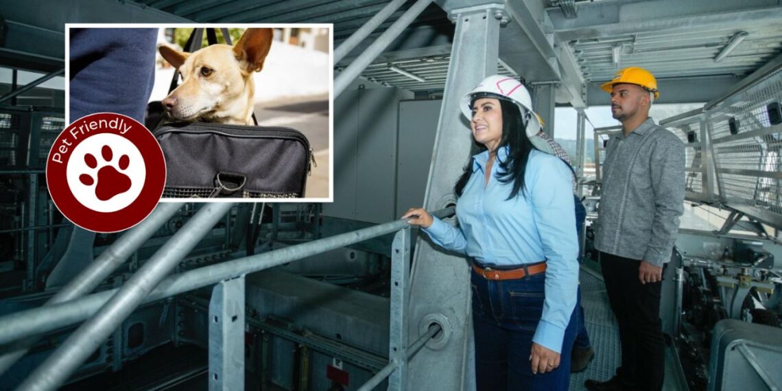 Teleféricos en Morelia y Uruapan serán inclusivos y pet friendly: Gladyz Butanda