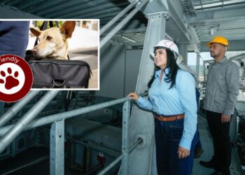 Teleféricos en Morelia y Uruapan serán inclusivos y pet friendly: Gladyz Butanda