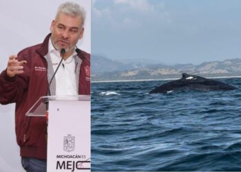 Gobernador de Michoacán Alfredo Ramírez Bedolla