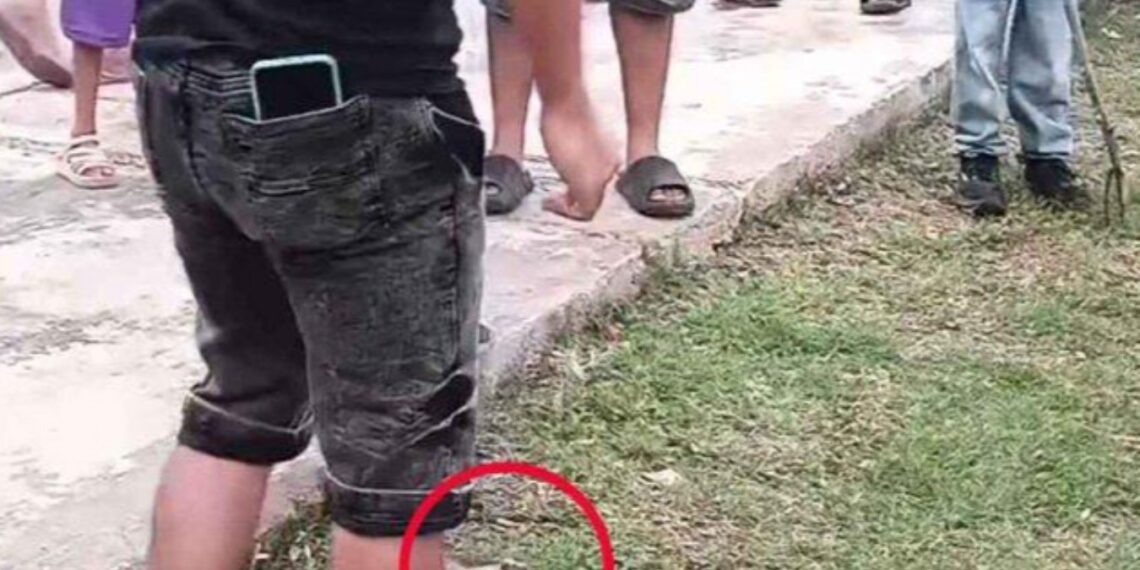 Celebración de Calkiní, Campeche, donde se denunció maltrato animal.