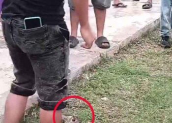 Celebración de Calkiní, Campeche, donde se denunció maltrato animal.