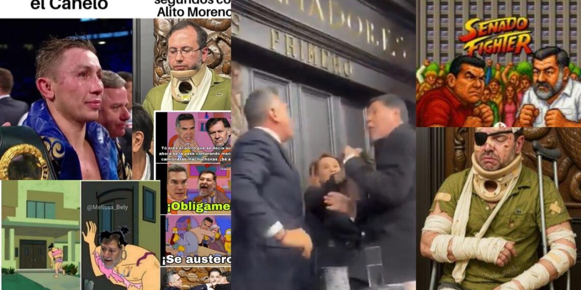 Memes por la pelea de Alito y Noroña en el Senado