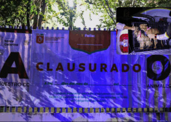 Gobierno de Nuevo León clausura el Centro de Bienestar Animal de Santa Catarina por maltrato