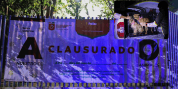 Gobierno de Nuevo León clausura el Centro de Bienestar Animal de Santa Catarina por maltrato