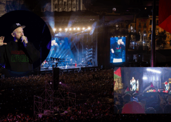 ¿Por qué el grito de Palestina Libre en el concierto de Residente?