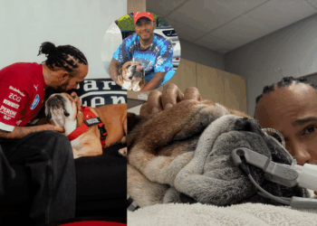 El bulldog de Lewis Hamilton, Roscoe, se encuentra en coma.