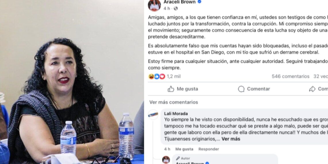 Aracely Brown, diputada federal de Morena