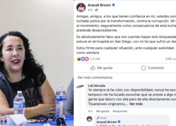 Aracely Brown, diputada federal de Morena