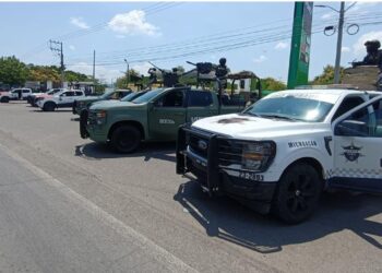 Operativo de seguridad de Michoacán