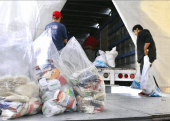 Centro de acopio Michoacan