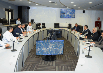 Seguridad Michoacán