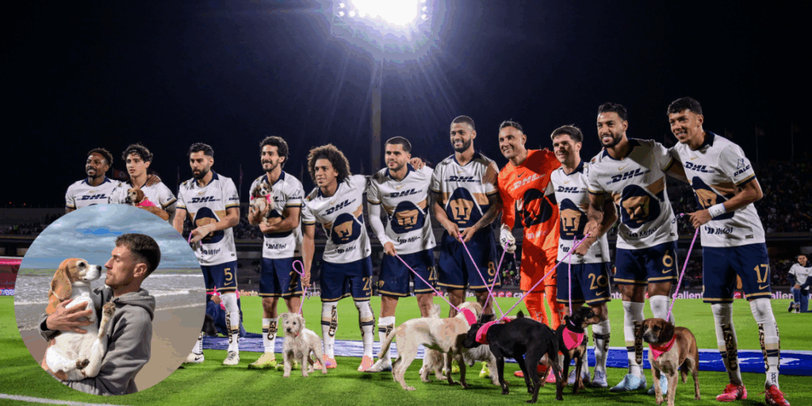 Pumas genera indignación por falta de empatía con Aaron Ramsey tras salir con perros a la cancha