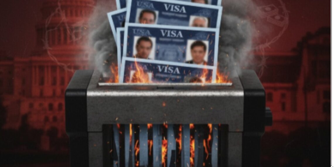 Cárteles de la droga