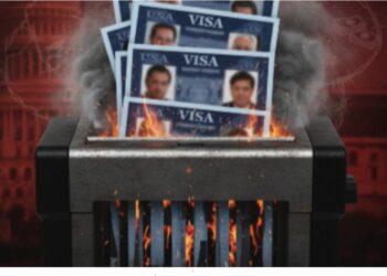 Cárteles de la droga