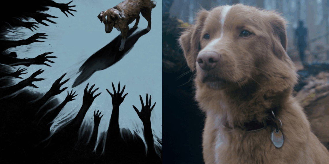 Indy hace historia: el perro de Good Boy recibe una nominación en los Astra Film Awards 2026