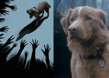 Indy hace historia: el perro de Good Boy recibe una nominación en los Astra Film Awards 2026