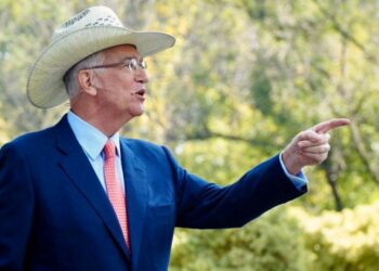 Ricardo salinas Pliego