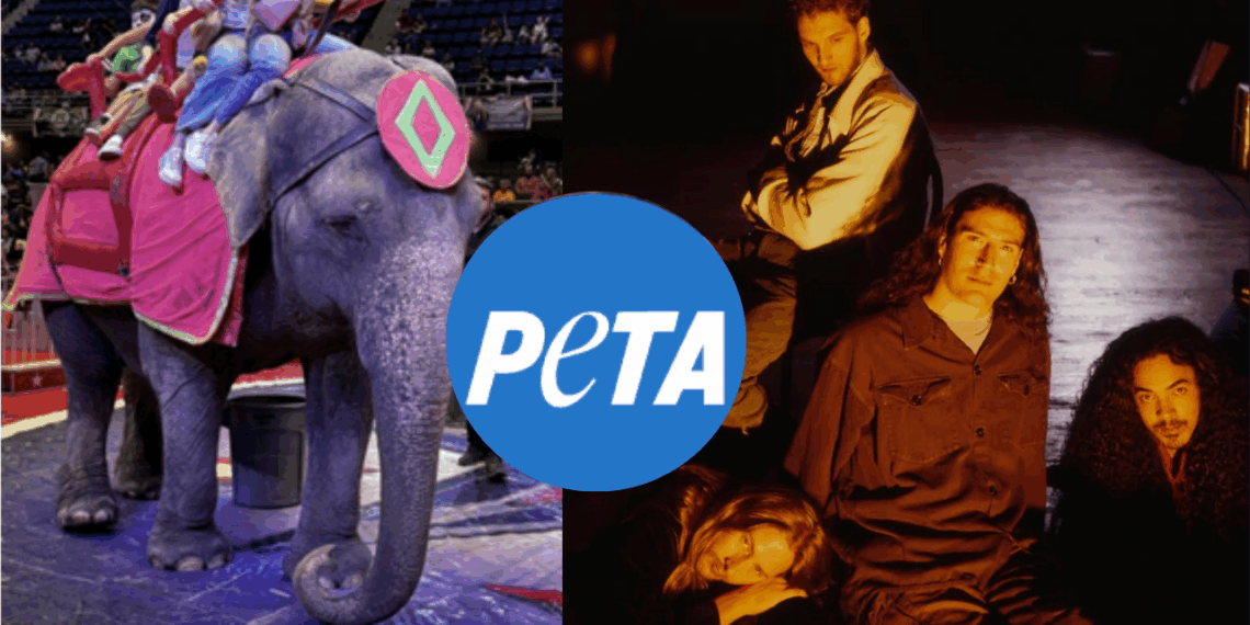 PETA lanza extraña petición a Alice In Chains: quieren que la banda cambie su nombre