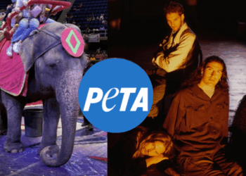 PETA lanza extraña petición a Alice In Chains: quieren que la banda cambie su nombre