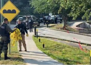 Plagio de elementos federales en Jalisco